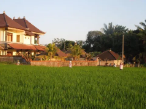 Suara Sidhi Villa Ubud Bali