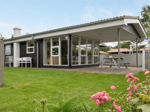 "Gull" - 150m from the Sea