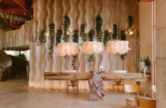 Epidamn White Sensation