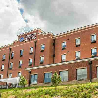 Comfort Suites Florence - Cincinnati South Hotel Exterior