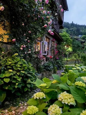 Little Plum House Homestay