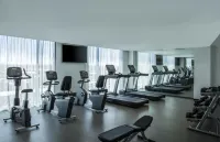 Fiesta Inn Aguascalientes Patio - Gym