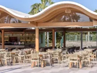 Star Beach Village & Water Park - bar