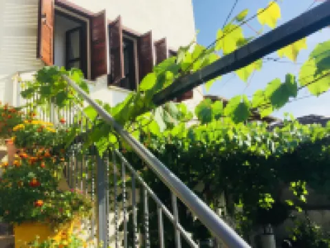 Denis Guest House