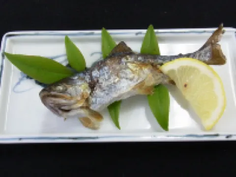 Kawabe Furusato No Yado Hotels in Ozu