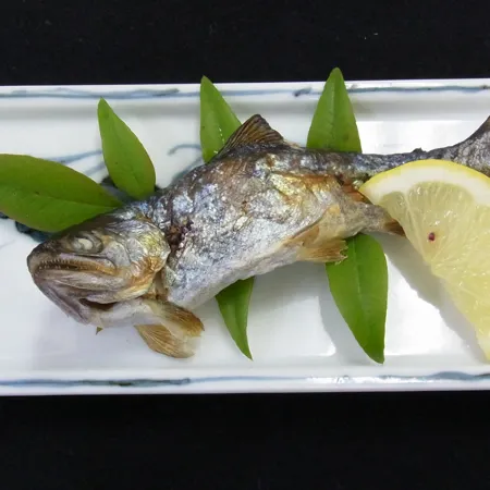 Kawabe Furusato No Yado