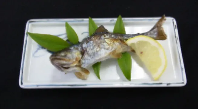 Kawabe Furusato No Yado