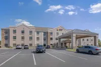 Comfort Suites West Indianapolis - Brownsburg - parking