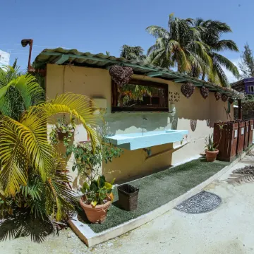 Coconut by ÓOL Hotels