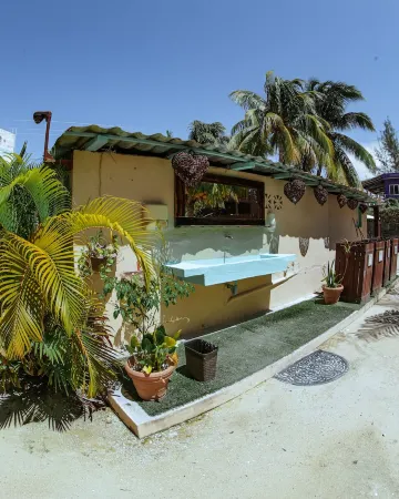 Coconut by ÓOL Hotels