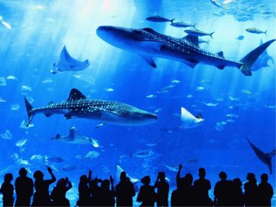 その他 EMウェルネス 暮らしの発酵ライフスタイルリゾートの写真