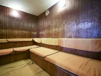 Tateshina Tokyu Hotel - spa