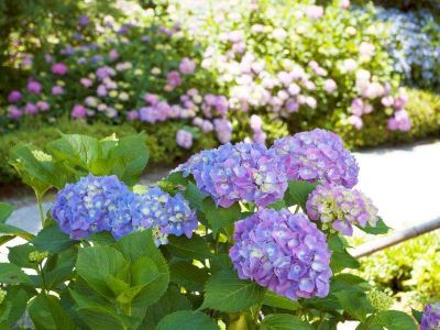 その他 広島エアポートホテルの写真