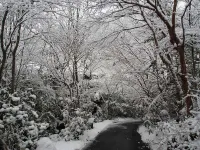 Ryokan Sanga Aso District otelleri