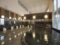 Hotel Folkloro Takahata Hotels in Takahata