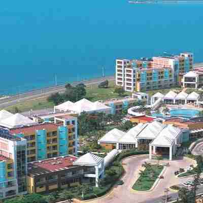 Hotel Palma Real Others