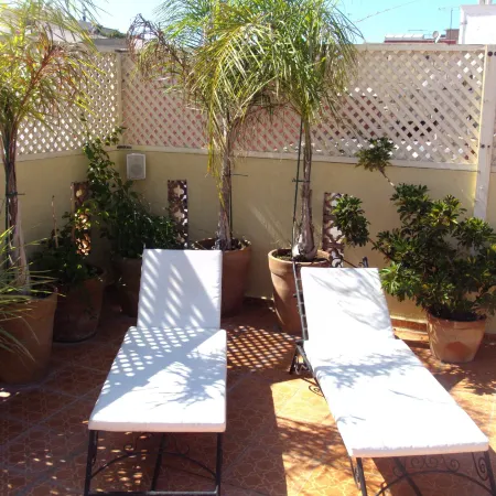 Riad Baddi