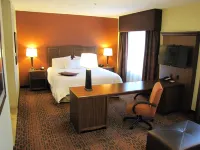 Hampton Inn & Suites Jamestown - Wifi