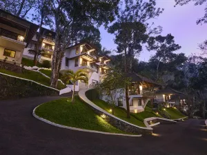 Forest Canopy Thekkady