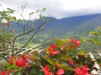 Valley View Homestay - vue sur la montagne