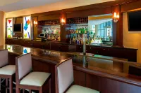 Sheraton Metairie - New Orleans Hotel - bar