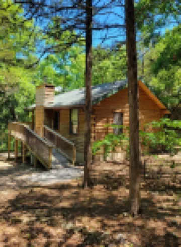 Cabin #10-Cozy log cabin nestled in the woods brief walk to Table Rock Lake