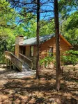 Cabin #10-Cozy log cabin nestled in the woods brief walk to Table Rock Lake