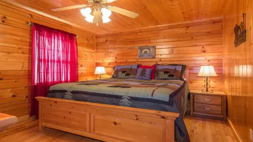 1 MI Dollywood Pet Friendly ! ,FREE WIFI,Hot Tub,YR RD Pool,Arcade 400 Games