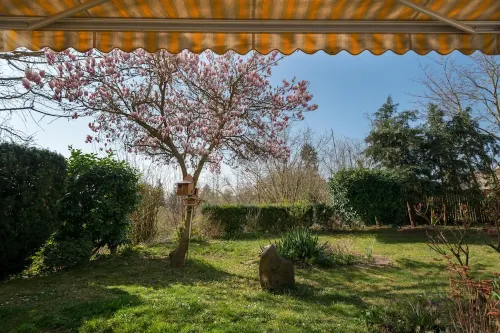 Apartment Oasis - Gemütliche Wohnung mit Garten