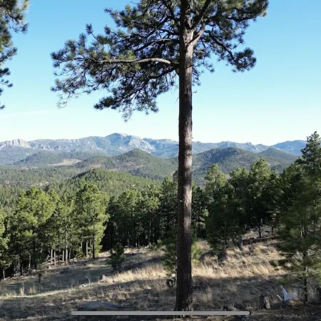 Rustic Family Mountain Top Cabin! 360 degree “million dollar” Black Hills views!