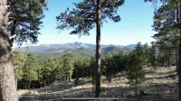 Rustic Family Mountain Top Cabin! 360 degree “million dollar” Black Hills views! - Wifi