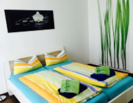 Fantastic apartment overlooking the Rhine 163m², 5 BR., Large terrace