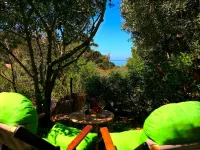 Casa Anita (Wild House) An oasis surrounded by nature 200 meters from the sea