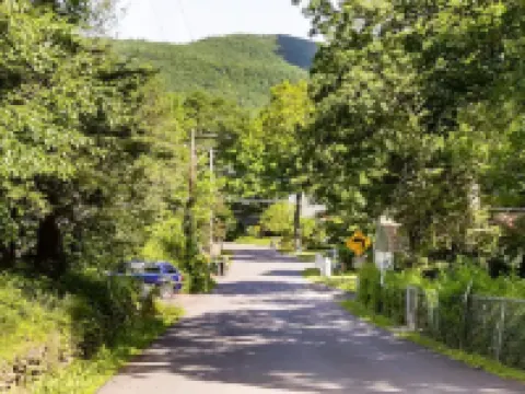 StarryPinesCottage w Cedar Sauna Steps to Trails Hotels in Catskill