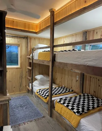 Family style cabin with pond and orchard near the Buffalo National River