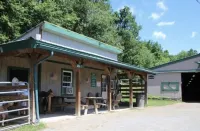 Magnificent, luxurious perfect for large families in Masthope!!