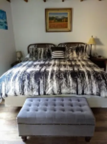 Great Remodeled Pet Friendly Cottage! Walk to Downtown and and the Lake!