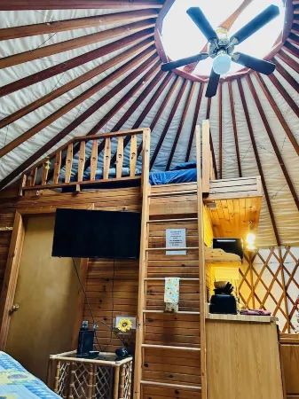 GLAMPING YURT. Sleeps 4, HOT TUB, Pellet Stove