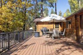 CozyCreekCabin-Treehouse-Large Deck-Mountain Home