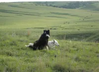 Bunkhouse on Working Ranch/Bird Sanctuary.  Cozy, cabin w. bathroom and kitchen
