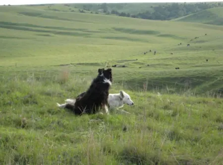 Bunkhouse on Working Ranch/Bird Sanctuary. Cozy, cabin w. bathroom and kitchen