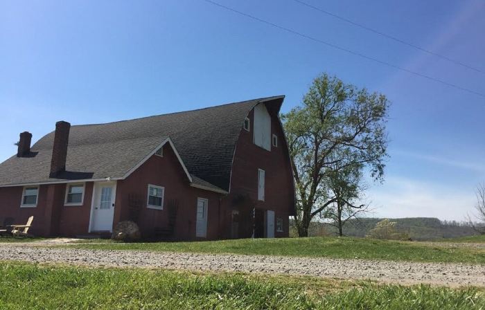 Enjoy Horses as your neighbors on our 600 Acre Horse/Cattle Farm.