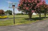 Spacious 5 bedroom w game room, theatre, and sauna