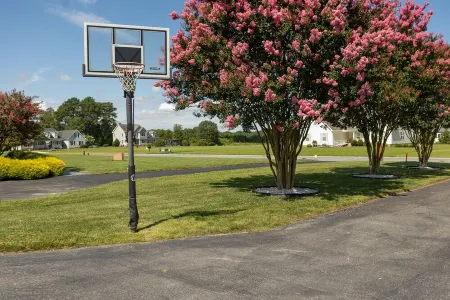 Spacious 5 bedroom w game room, theatre, and sauna