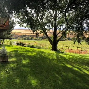 A wonderful, secluded 2 story cabin, deck, fire pit, stocked pond for fishing.