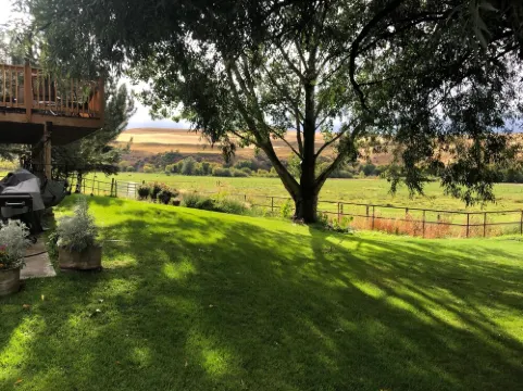 A wonderful, secluded 2 story cabin, deck, fire pit, stocked pond for fishing.