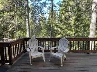 Spacious, Family Friendly, Hot Tub, Game Room, Forest View, Fireplace, 2 decks