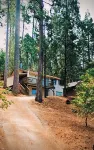 For the discerning guest. Cabin at Lilac Terrace 🌲⛷️with summer TH Lake Access.