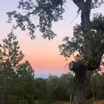 Hummingbird House - Scenic Peaceful Foothills Getaway only minutes from downtown