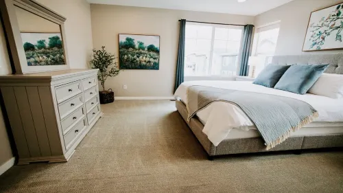 New Modern Stylish Oasis, Bright and Comfortable Home - 4 tähden